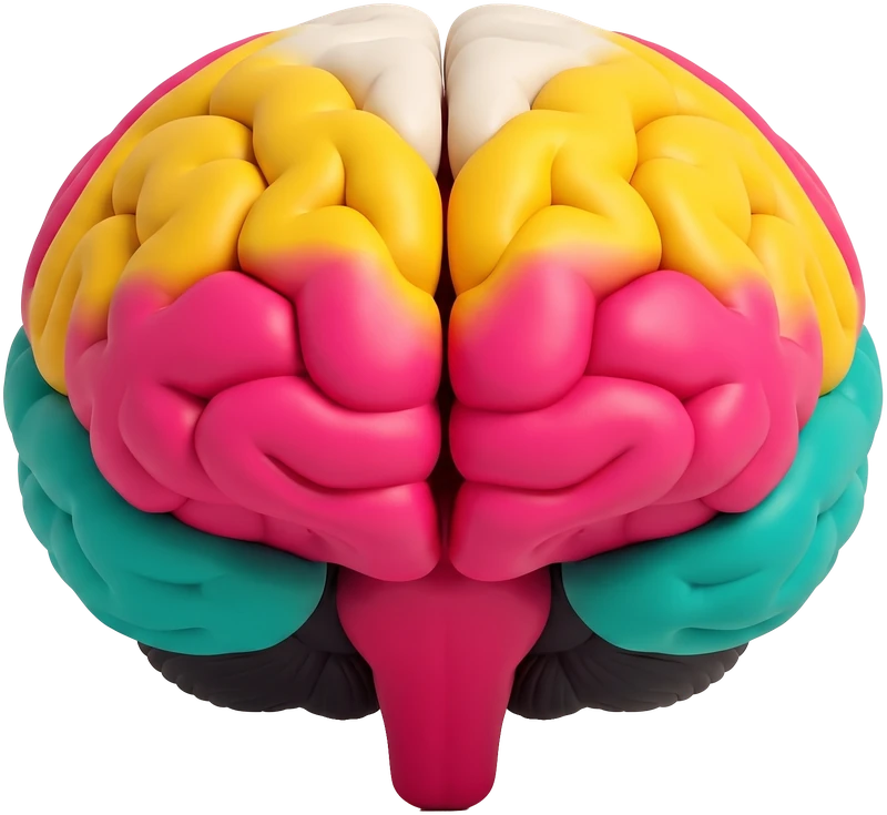 El cerebro de Majo, que asoma por la hoja rasgada